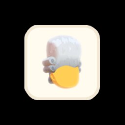 Judge