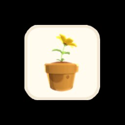 Pot Plant