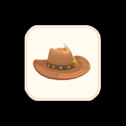 Cowboy Hat